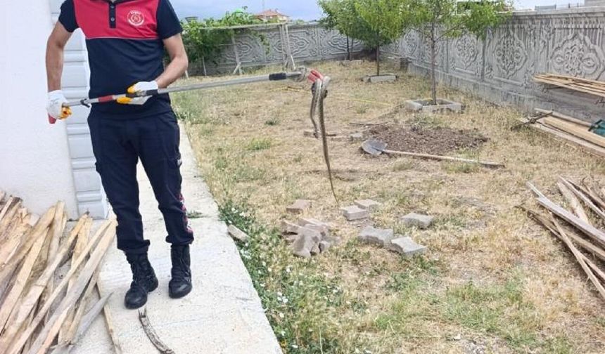 Odunluğa Giren Yılan Korkuttu! İtfaiye Ekipleri Seferber Oldu
