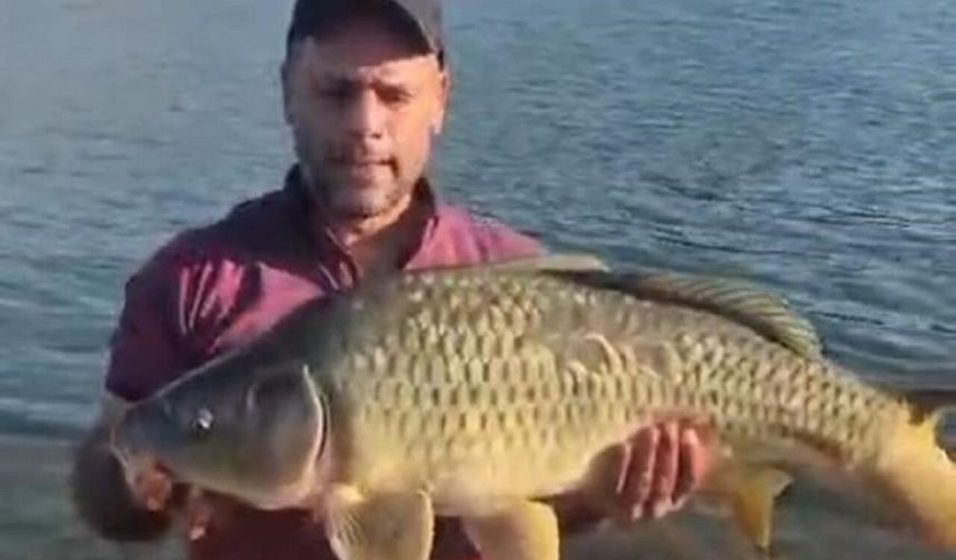 Keban Baraj Gölü’nde oltaya 10 kiloluk dev sazan takıldı