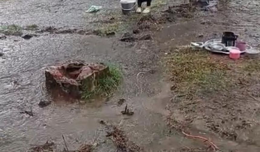 Fındık İçin Samsun’a Gitmişlerdi! Şiddetli Yağış Çadırlarını Sular Altında Bıraktı