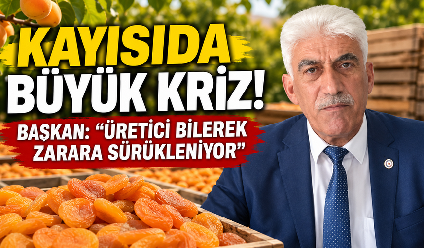 Kayısıda Büyük Kriz! Başkan: "Üretici Bilerek Zarara Sürükleniyor"