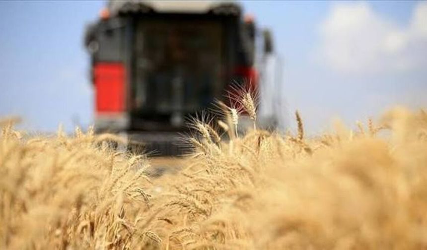 Küresel Gıda Fiyatları Yükseldi: Malatya’da Vatandaşın Sofrasını Etkileyecek Gelişme..