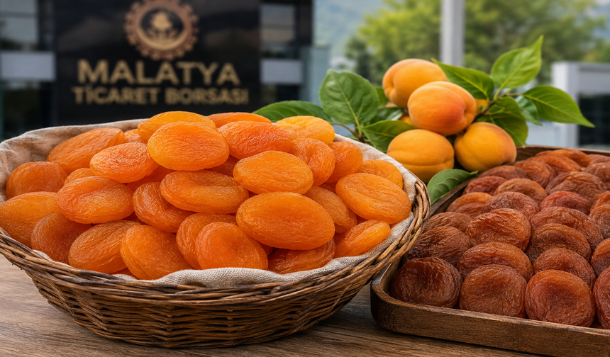 Kayısı Satacaklar Dikkat! Malatya'da Yeni Fiyat Listesi Açıklandı
