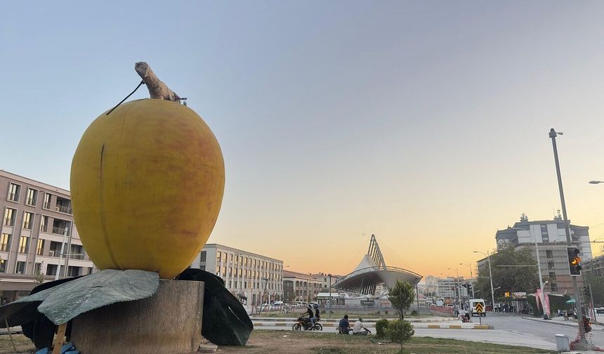 Malatya’da Kayısıda Yeni Tartışma: Üretici Gerçekten Maliyetinin Altında Mı Satıyor?
