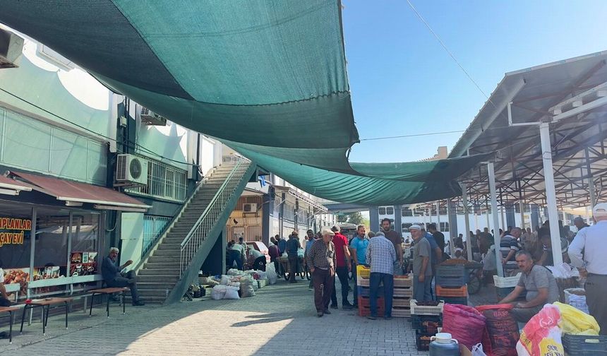 Kayısı Satılacak, Malatya’da Çark Dönecek! Gözler Yeni Sezonda