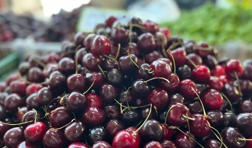 Türkiye’nin Yaş Meyve İhracatı 1 Milyar Doları Aştı: Malatya’da Kayısı Üreticileri İçin Dikkat Çeken Rakamlar