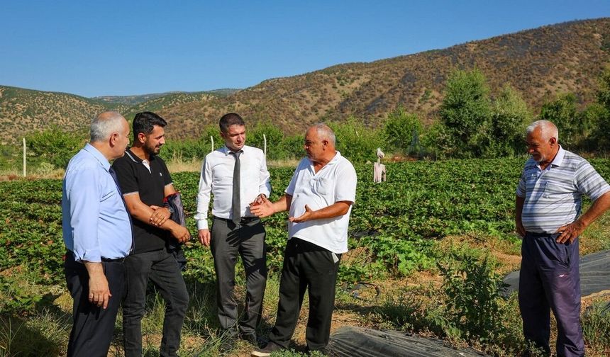 Pütürge’de Tarlalar Tek Tek İncelendi! Çilek ve Salep Üretimi Dikkat Çekiyor