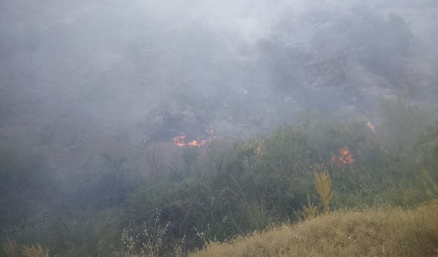Pütürge'deki Yangında 20 Araç ve 55 Personel Seferber Oldu