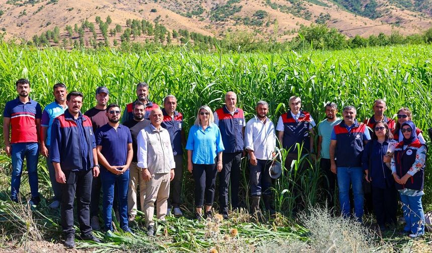Malatya’da Bu Tarladan 7 Ton Ürün Çıkıyor! Süt Veriminde Dikkat Çeken Artış