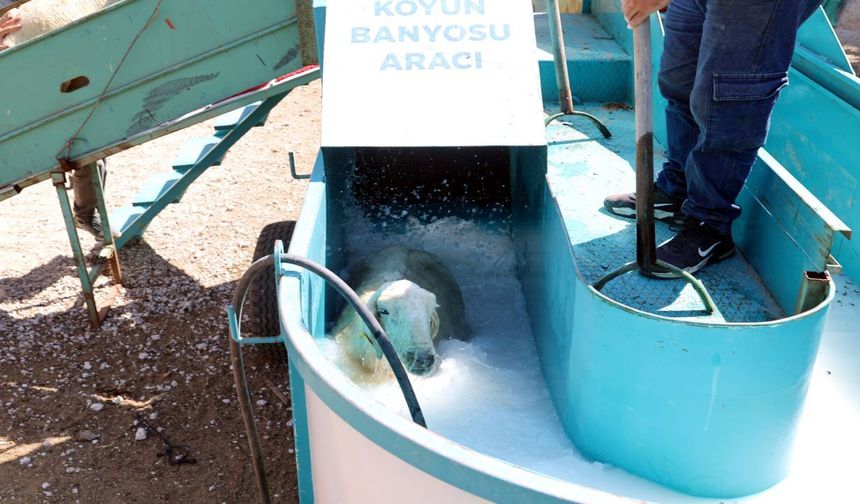 Köy Köy Geziyor! Bu Mobil Banyo 15 Bin 745 Koyuna Ulaştı