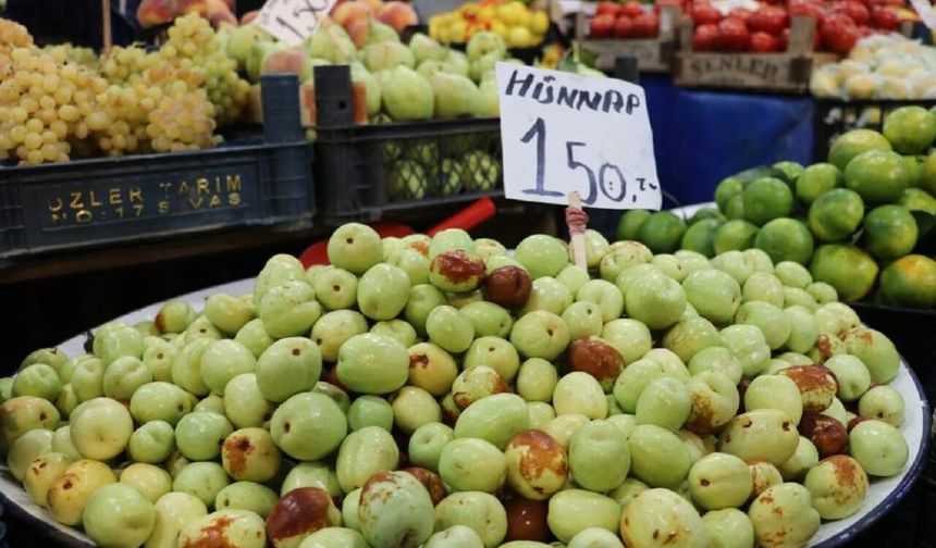 Kilosu 150 TL’ye ulaşıyor! Sivas’ta şifa deposu hünnap tezgahların gözdesi oldu