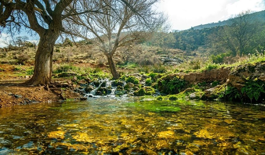 Malatya’da Hafta Sonu Kahvaltı İçin Mekân Aramayın! Kahvaltınızı Hazırlayıp Buraya Gidin