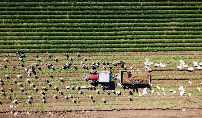 Malatya’da Kırsal Kalkınma İçin Milyarlarca Liralık Destek Kapısı Açıldı!