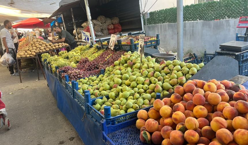 Malatya’da Yazın Son Meyveleri Belli Oldu! Pazarda Gözler Onlarda
