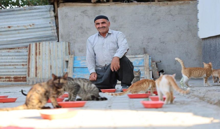 62 Yaşındaki Adam Yaklaşık 50 Kedinin Umudu Oldu