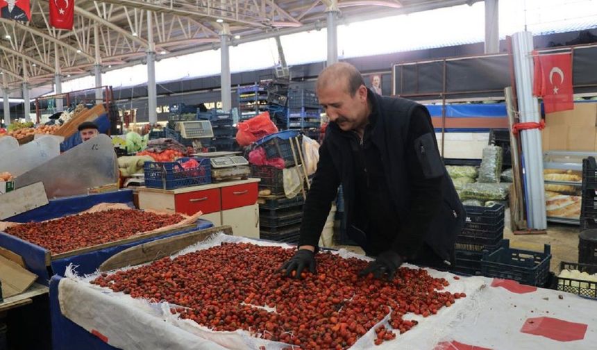 Dikenlerin Arasında Saatlerce Uğraşıyorlar! Kışın Tüketmek İçin Topluyorlar