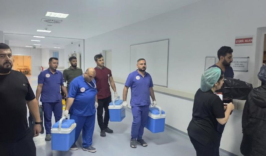 Şanlıurfa’da Hayatını Kaybeden 2 Yaşındaki Emine, Malatya’da 2 Çocuğa Umut Oldu!