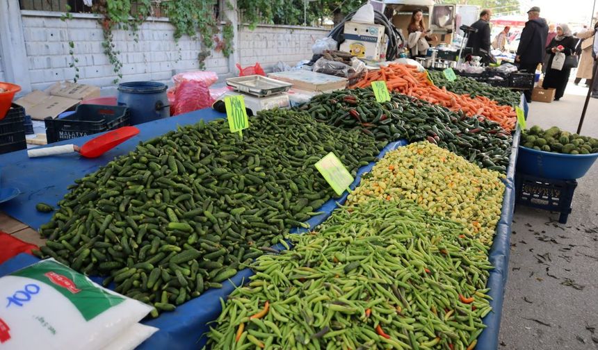 Malatya’da Turşu Kurmanın Bedeli Ortaya Çıktı! Kış Hazırlığı Cep Yakıyor