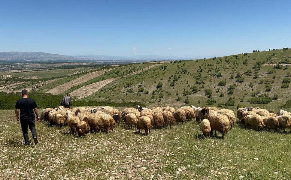 Malatya’da zorlu yayla göçü başladı!