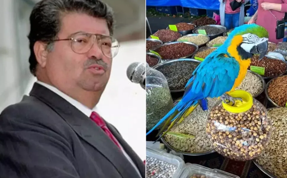 Malatyalı Cumhurbaşkanının papağanı çalındı