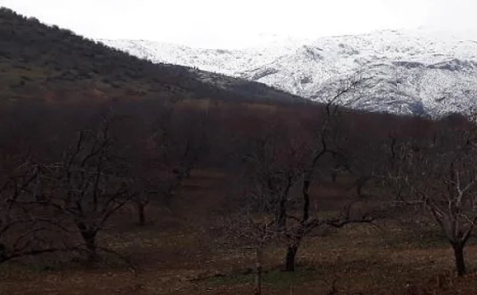 Malatya’nın En Güzel Köyü Seçildi: Giden Taşınmak İstiyor!