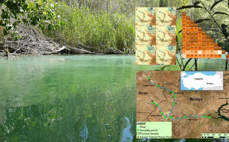 Tohma Çayı Zehir mi Taşıyor? Üniversitenin Raporunda 'Ağır Metal' ve 'Kanser' Detayı!