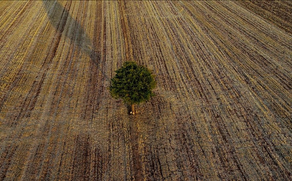Tarım Karnesi Açıklandı: Malatya, Elazığ ve Adıyaman Listede