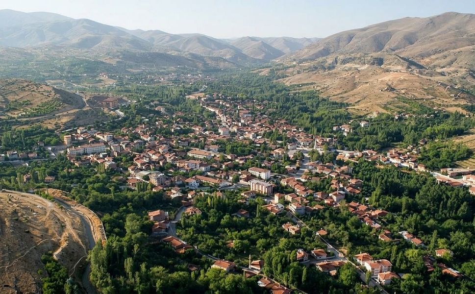 Malatya’nın O İlçesinde Yetişiyor, Özelliğiyle Dikkat Çekiyor!