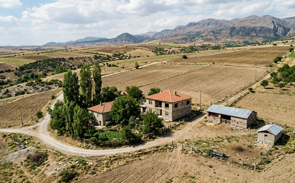 Malatya’da Tarlanın İçinden Evler Çıktı! Değeri Milyonları Aştı