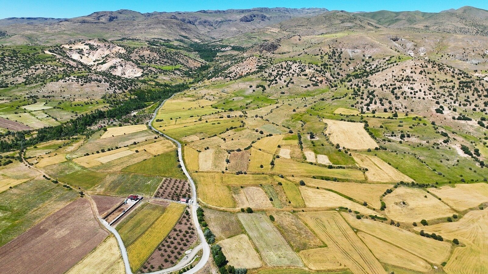 Tarla-1