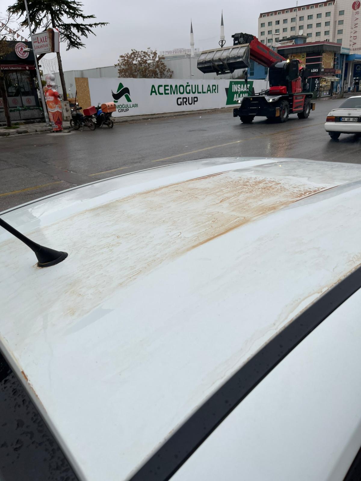 5E6865B1 D4Ec 4D75 81A8 3076002204A9