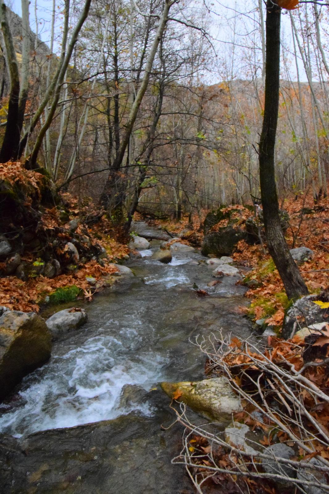 7349F224 86C9 487B B7E1 893C3Eafdeea