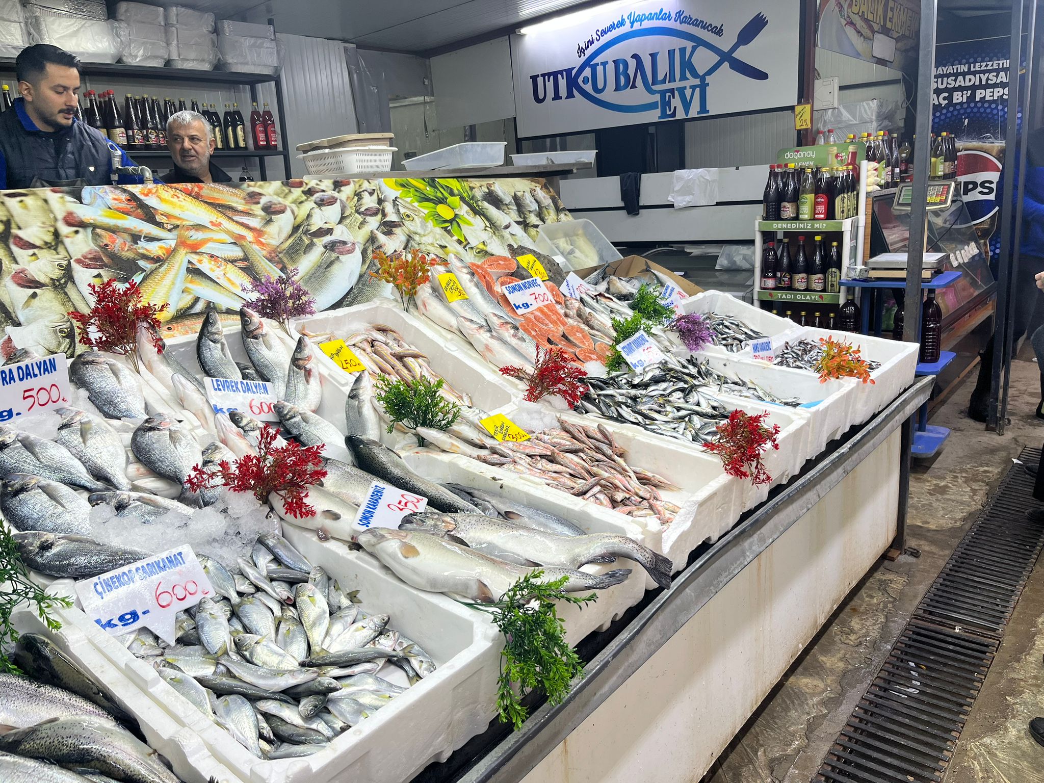 D7727861 C21A 4528 B891 3Af63Bf618Ab