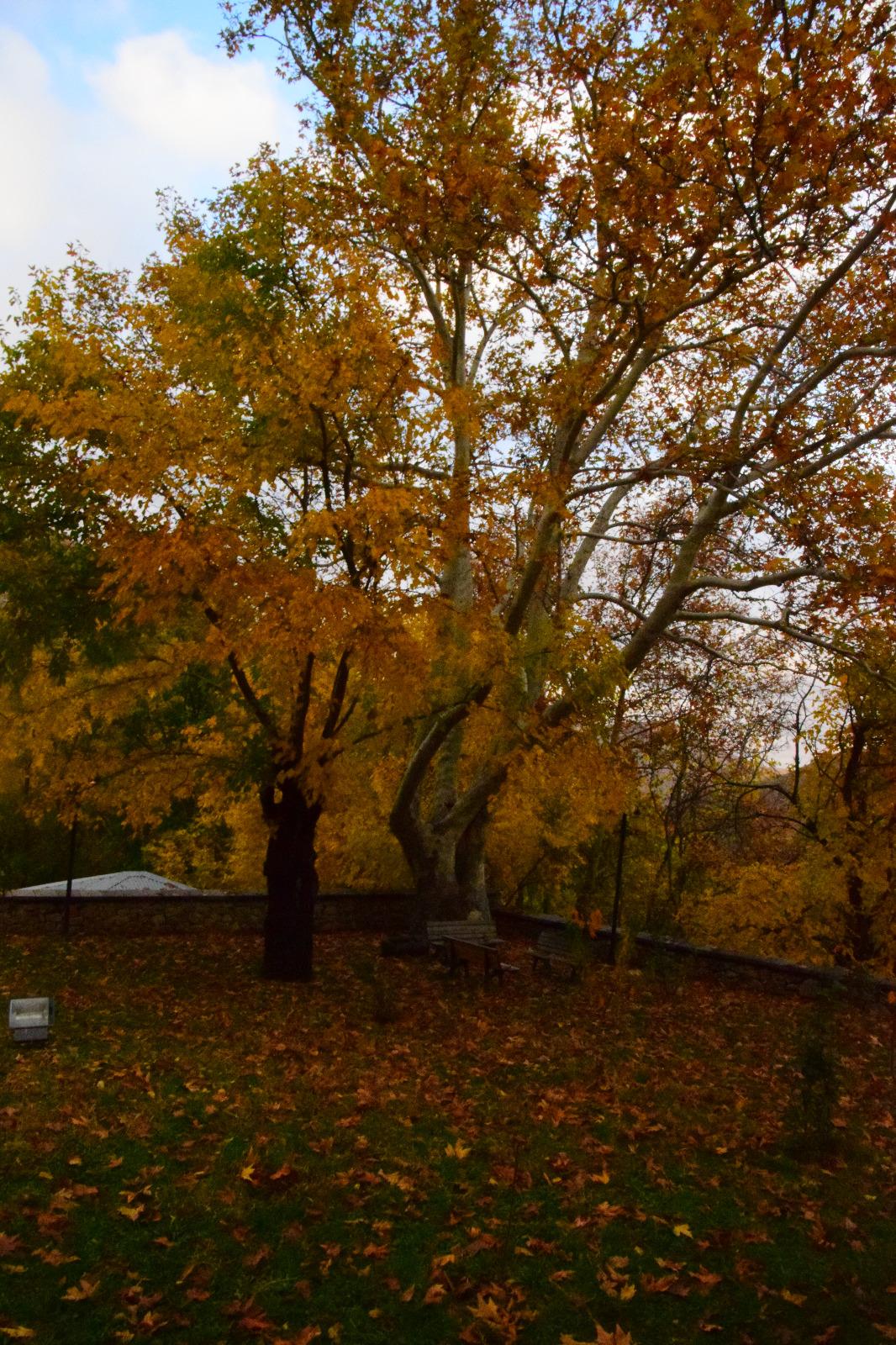 Fdd3B054 C081 4Ec1 Ae87 1B075494Bab2