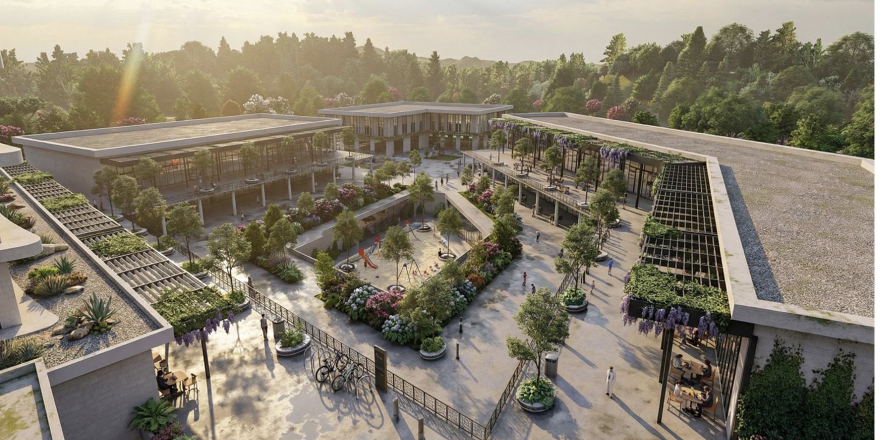 202512260825 Img 1797