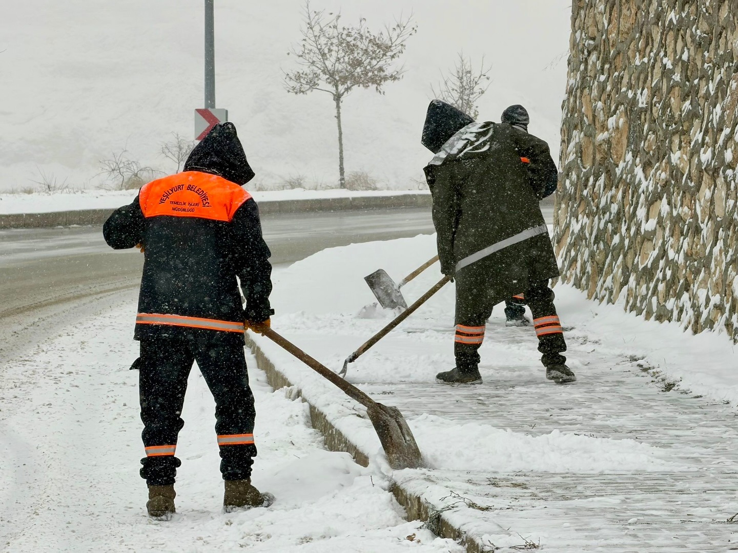 3C45721A Da3E 42Ba 9757 3Cf8C1F14A38