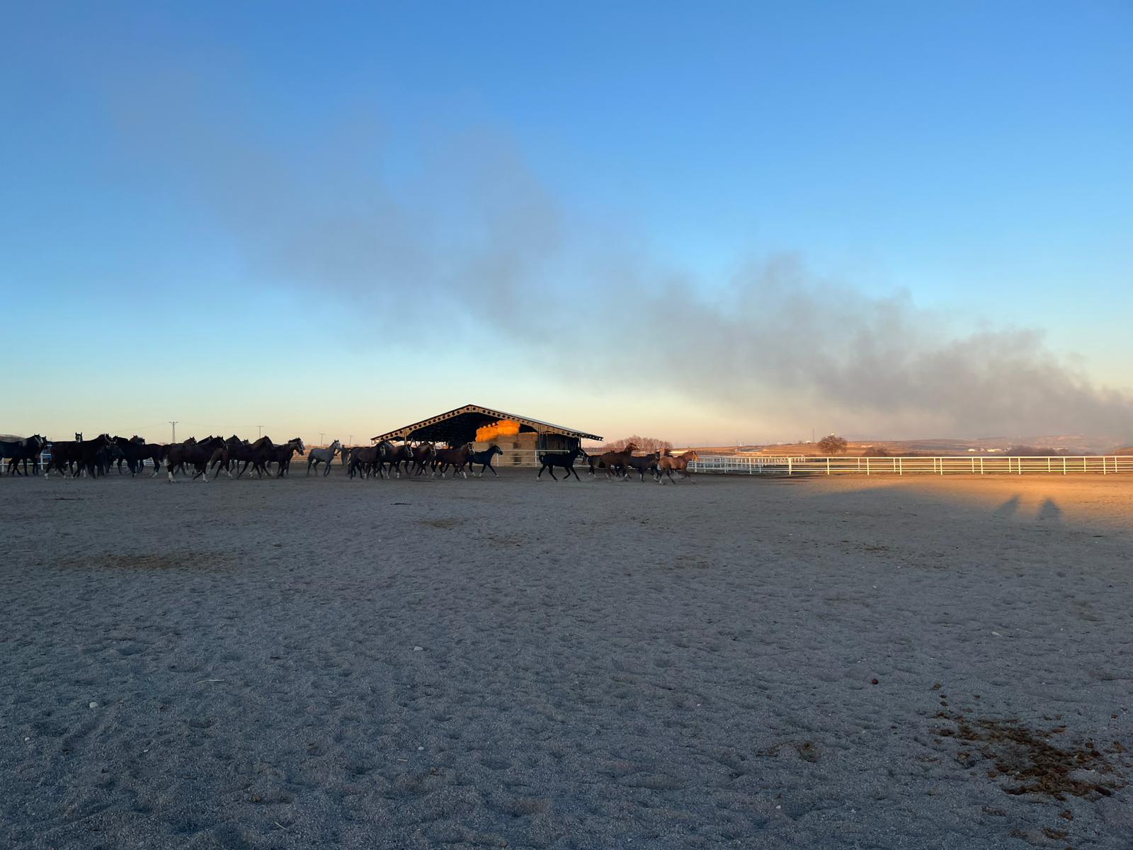 9E62D3Ea 215B 4D9A A9Bb A15D50E68D0B