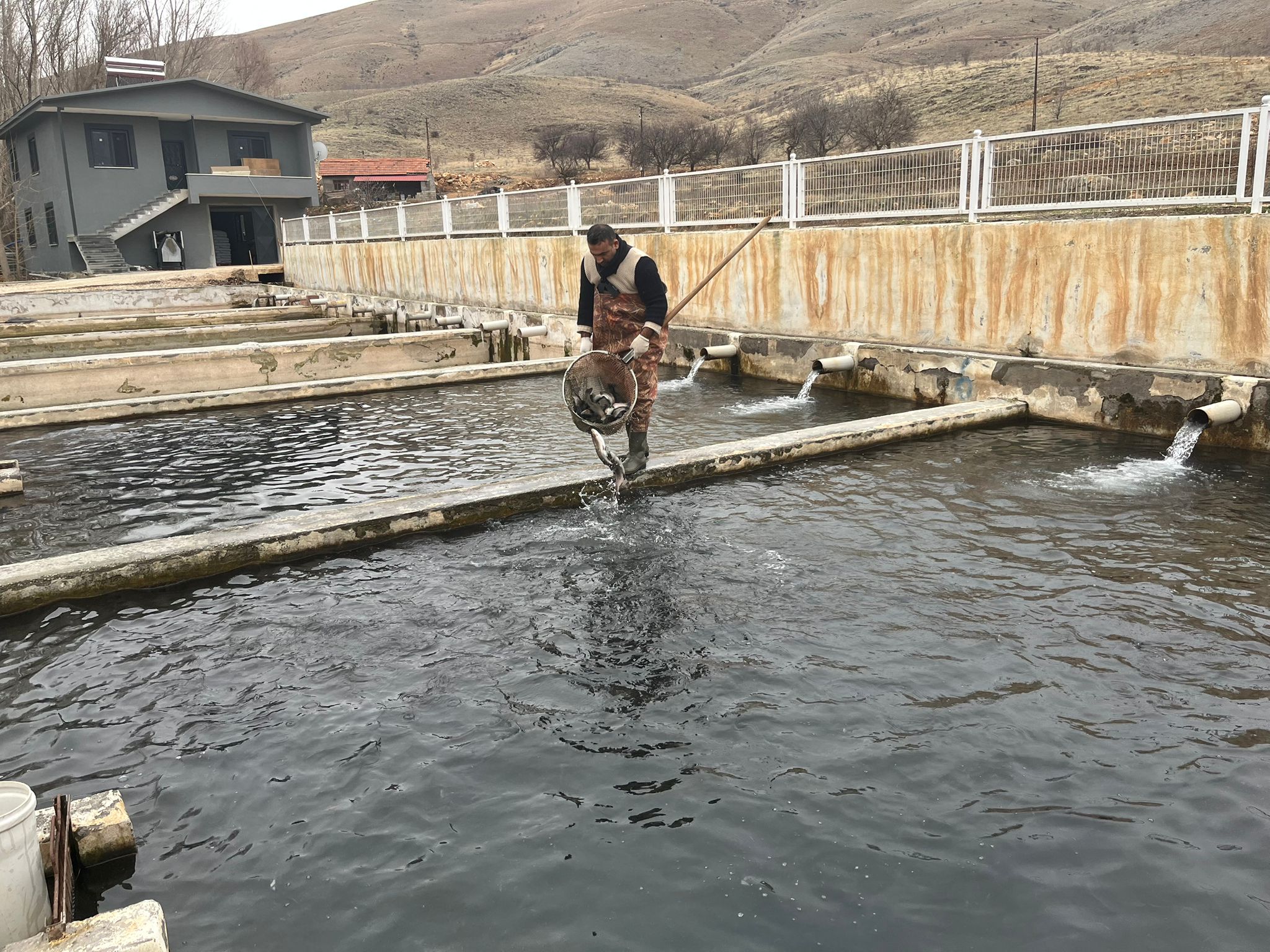 Aa9E0Ac4 Aae2 4C5D A92D Fc6F99E7Ba6F