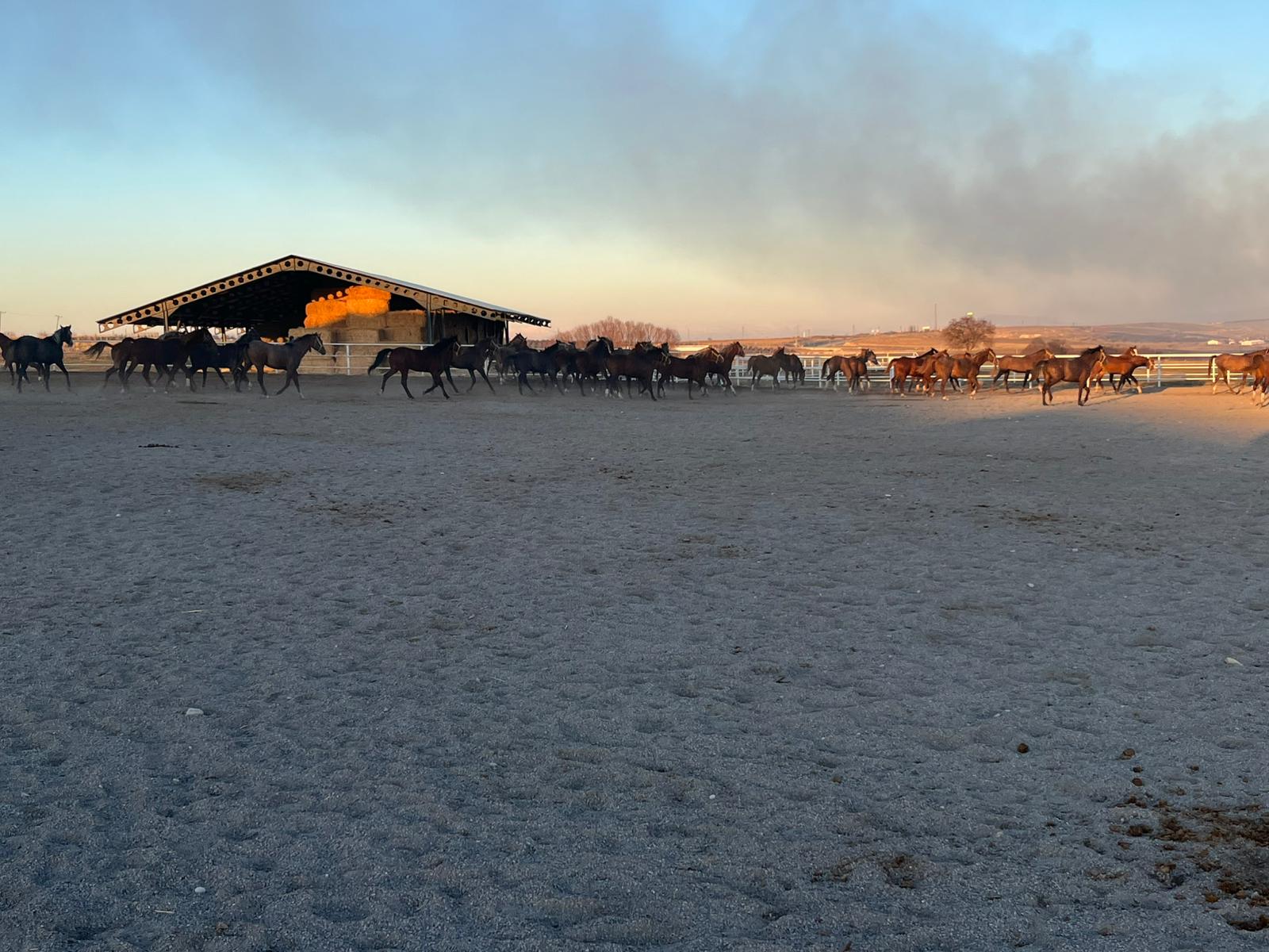 C9255626 Fb5E 4A1E 8804 81552E15C9B8