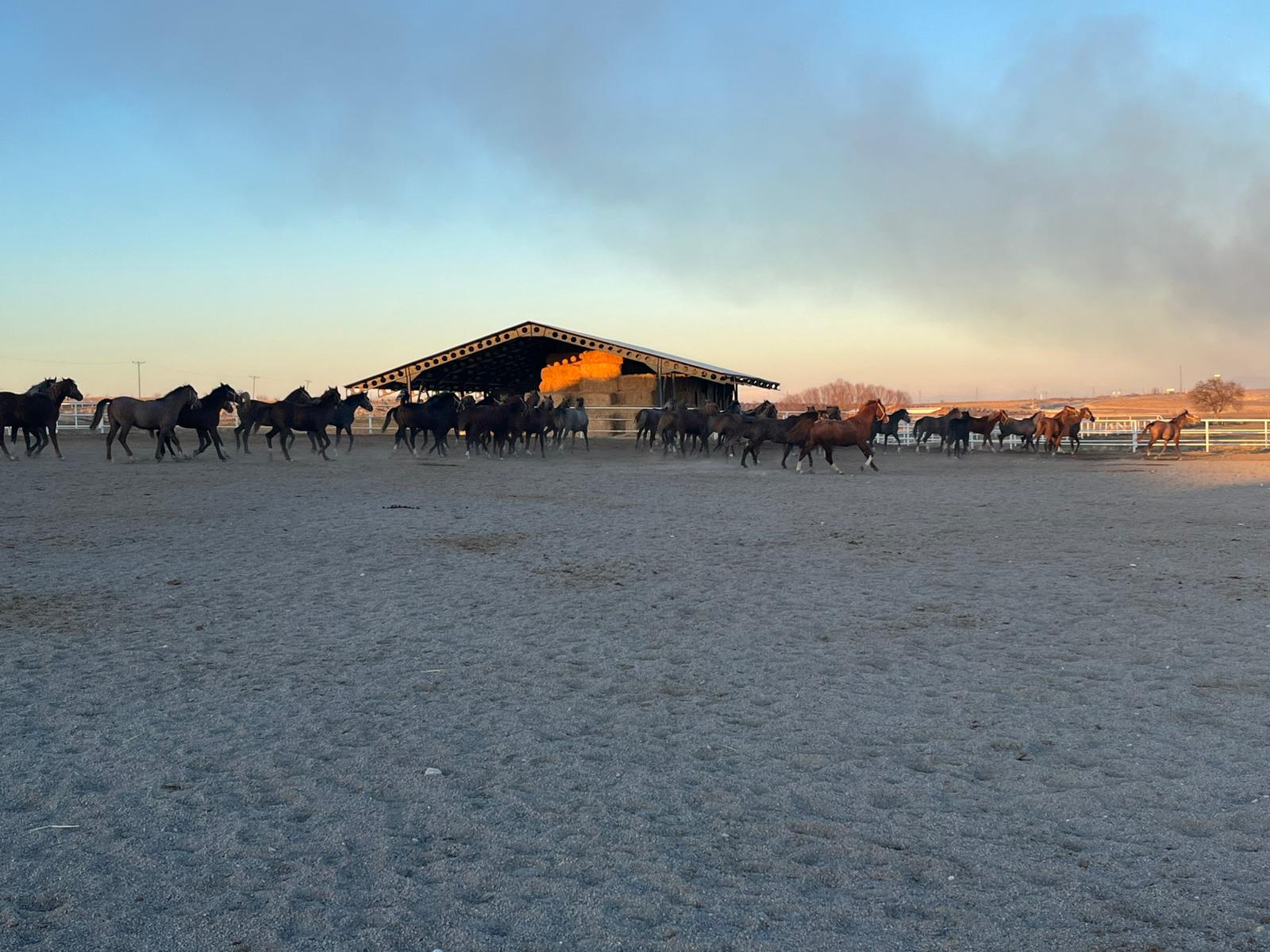 D4Bfab72 5151 4Bc7 9A75 F9Bcda74E47A