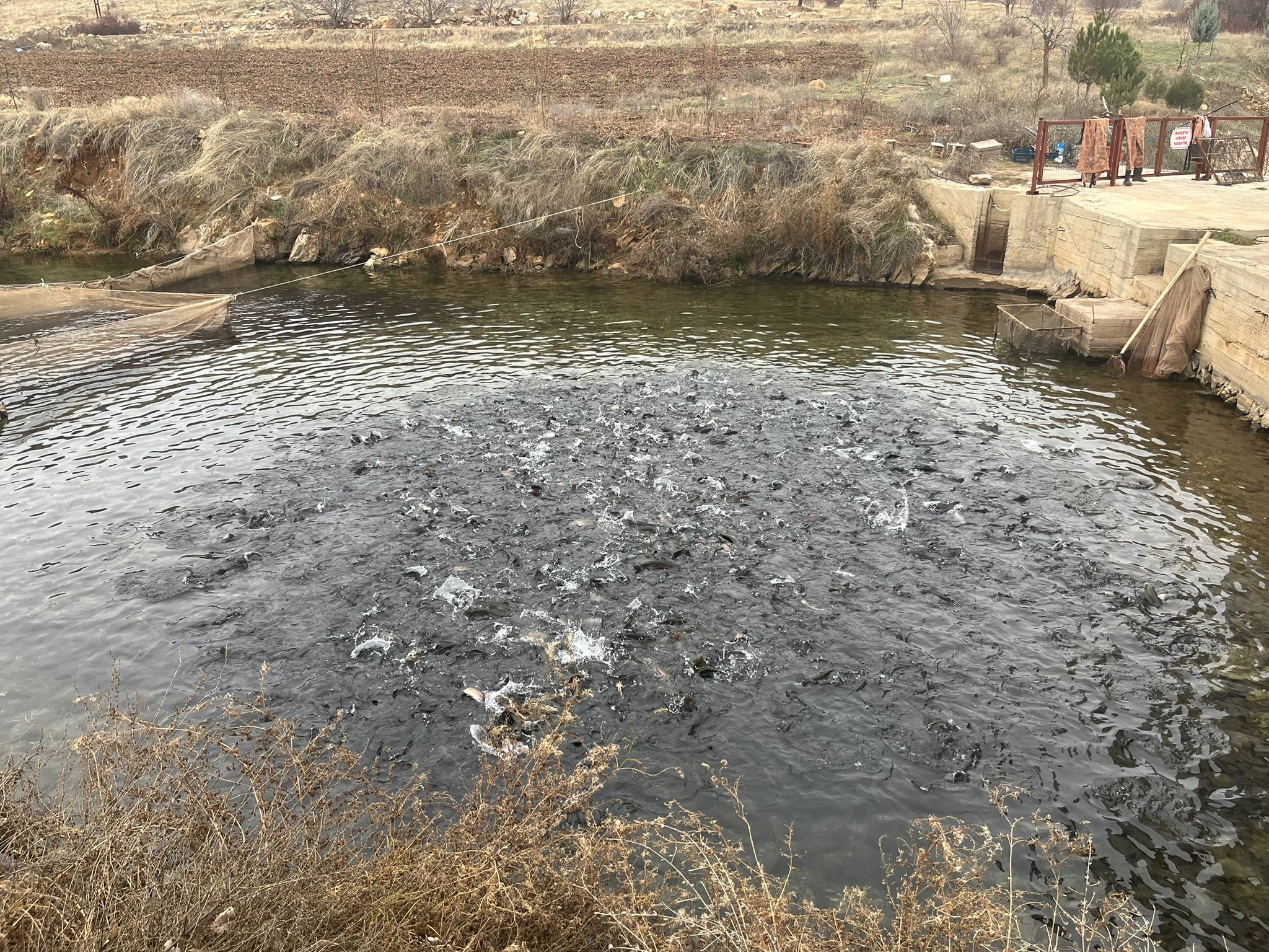 F598Afb3 0Fc8 4708 8273 52A4Ab7E8316