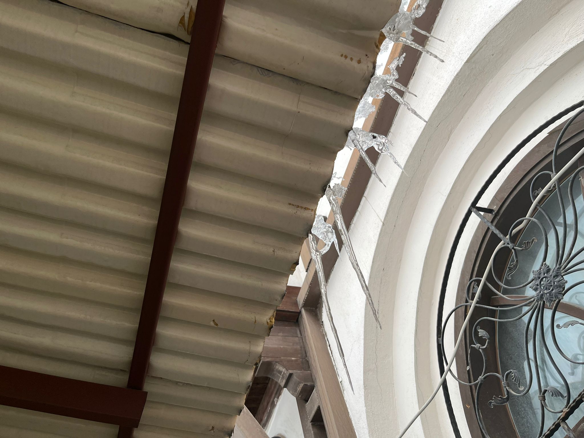 Whatsapp Image 2026 01 06 At 16.31.23