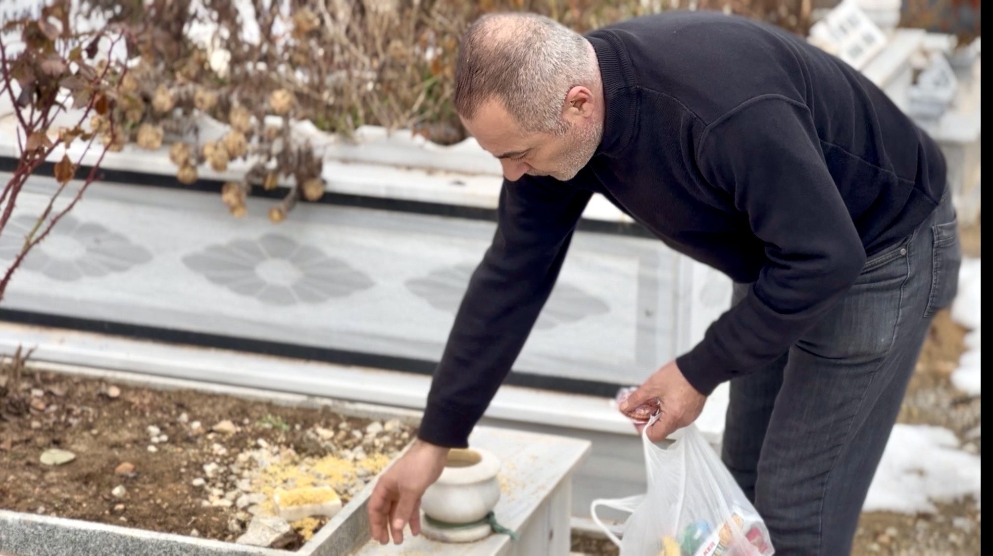 Images 202602031323 Img 5480