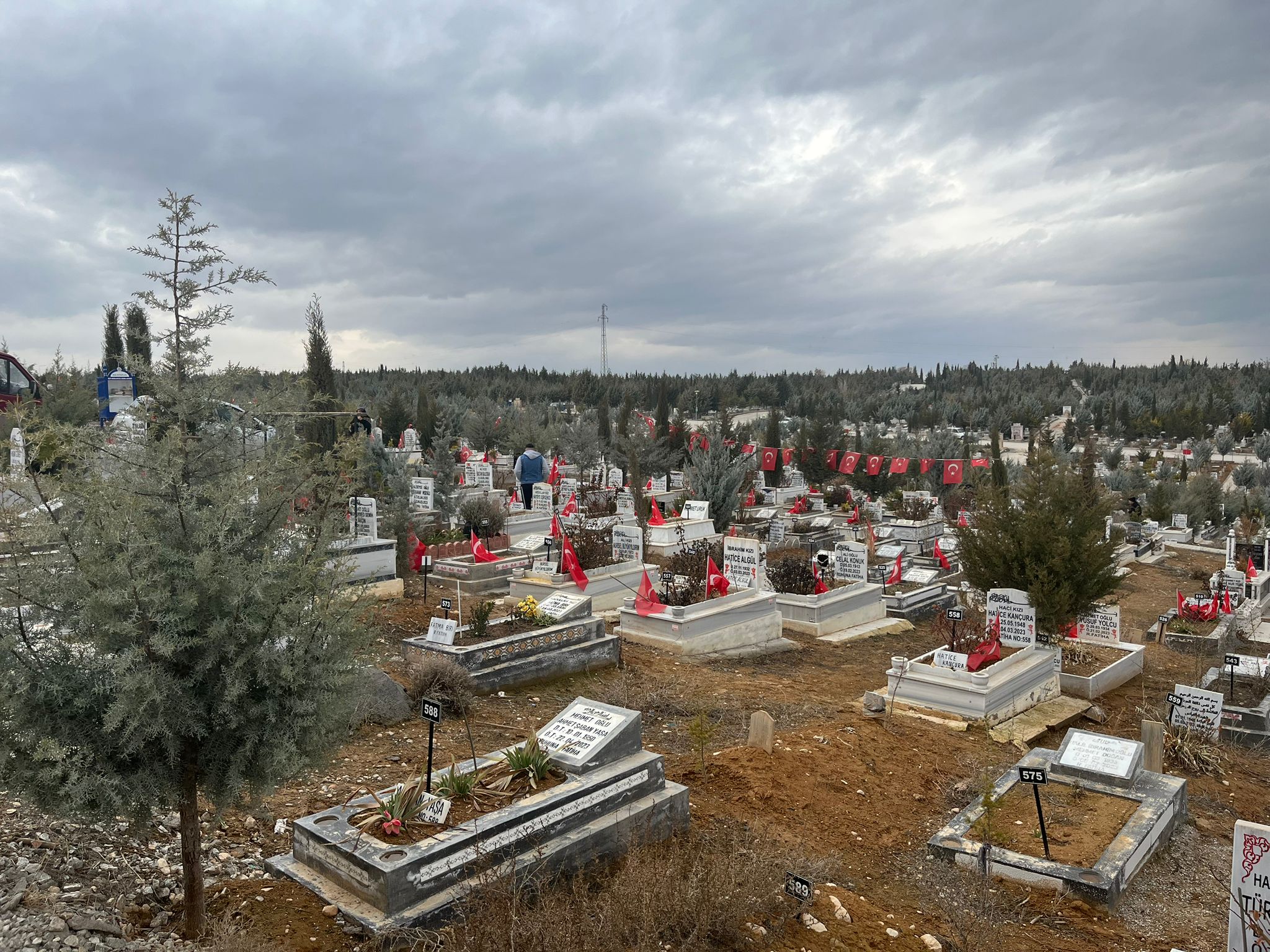 Whatsapp Image 2026 02 06 At 09.19.21