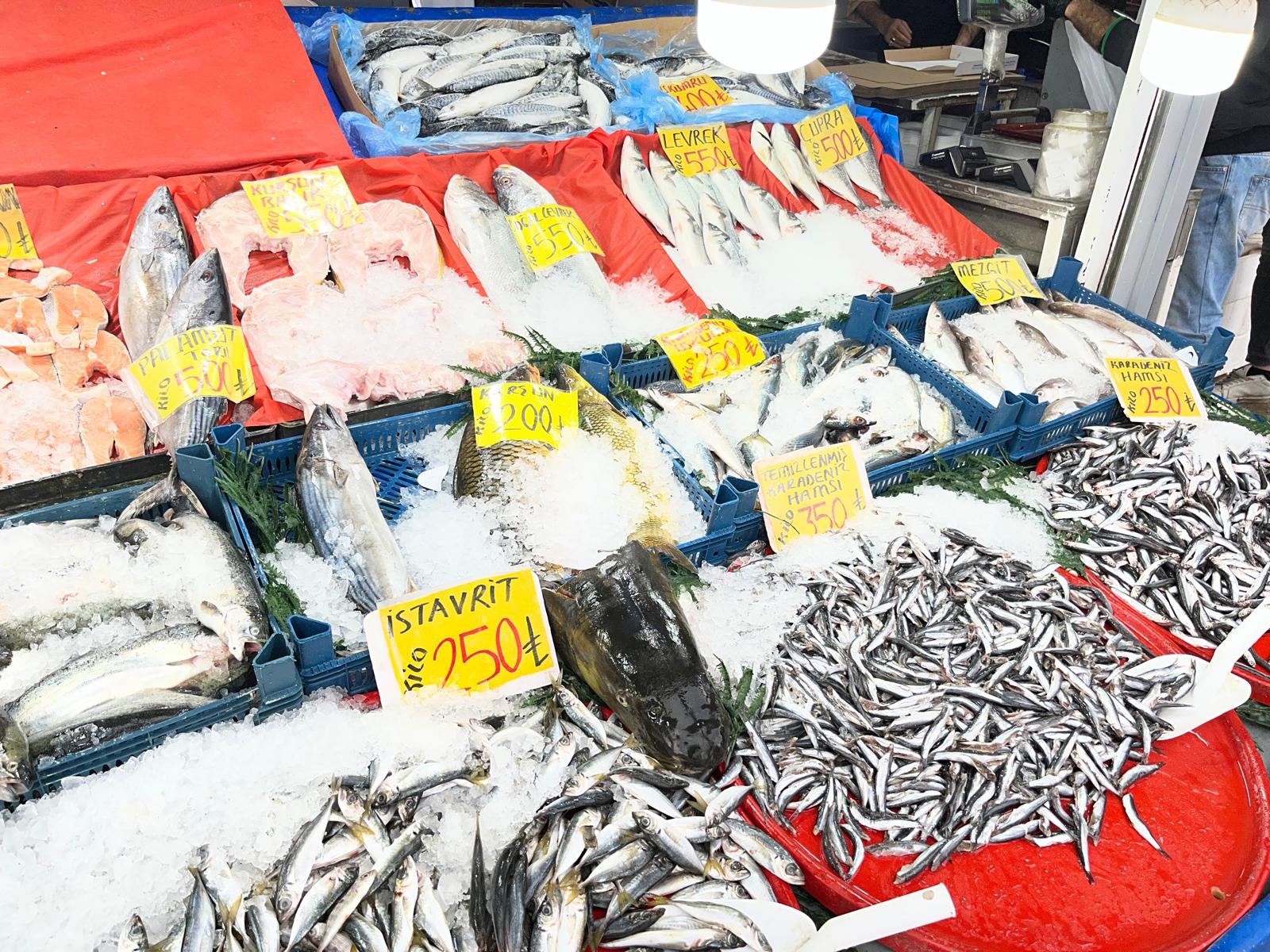 Whatsapp Image 2026 02 22 At 15.45.29 (1)