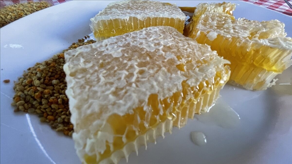 AB’den tescil aldı: Yenice ıhlamur balı dünya sahnesine çıkıyor