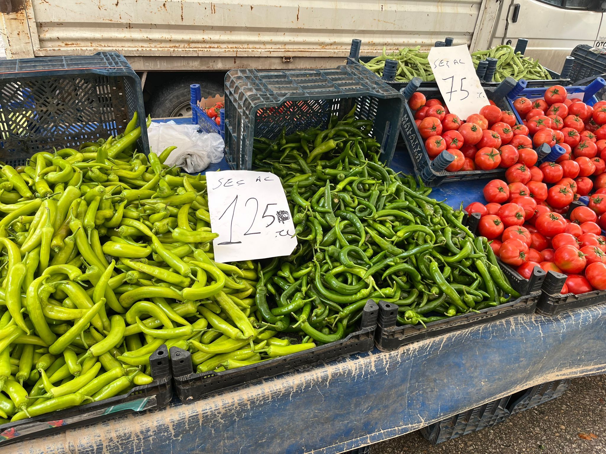 Whatsapp Image 2026 03 30 At 14.22.54 (1)