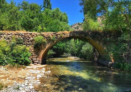 Whatsapp Image 2026 03 31 At 12.52.16