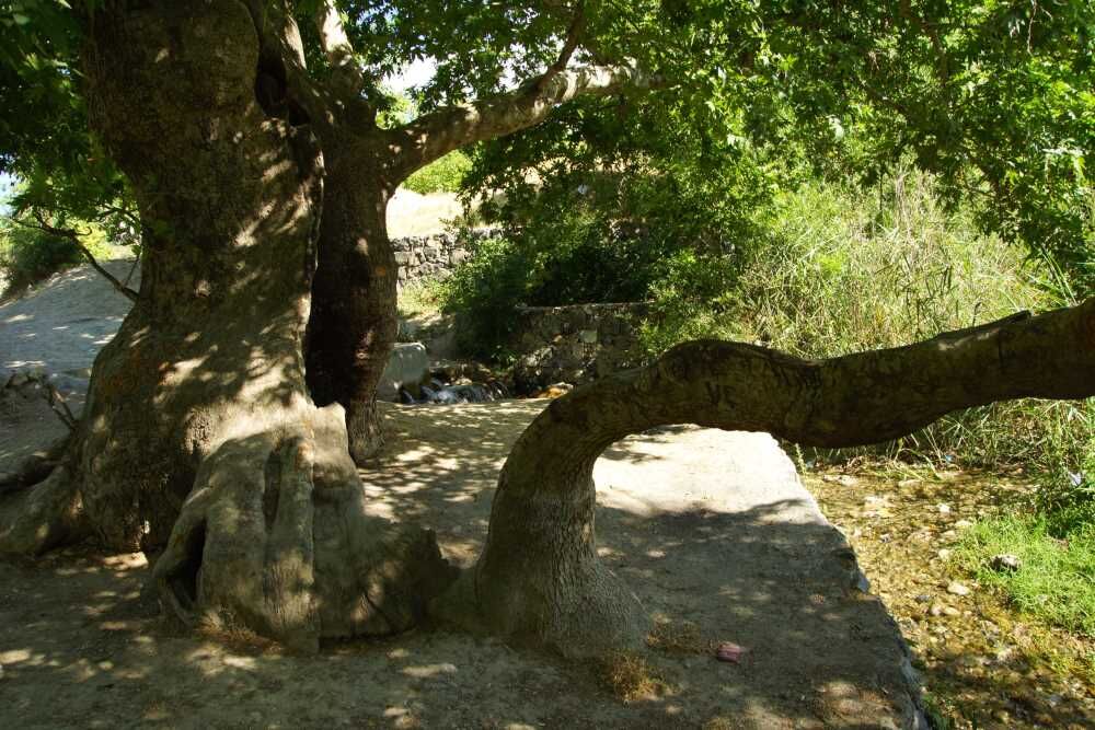 20160304133930350 D S C00002