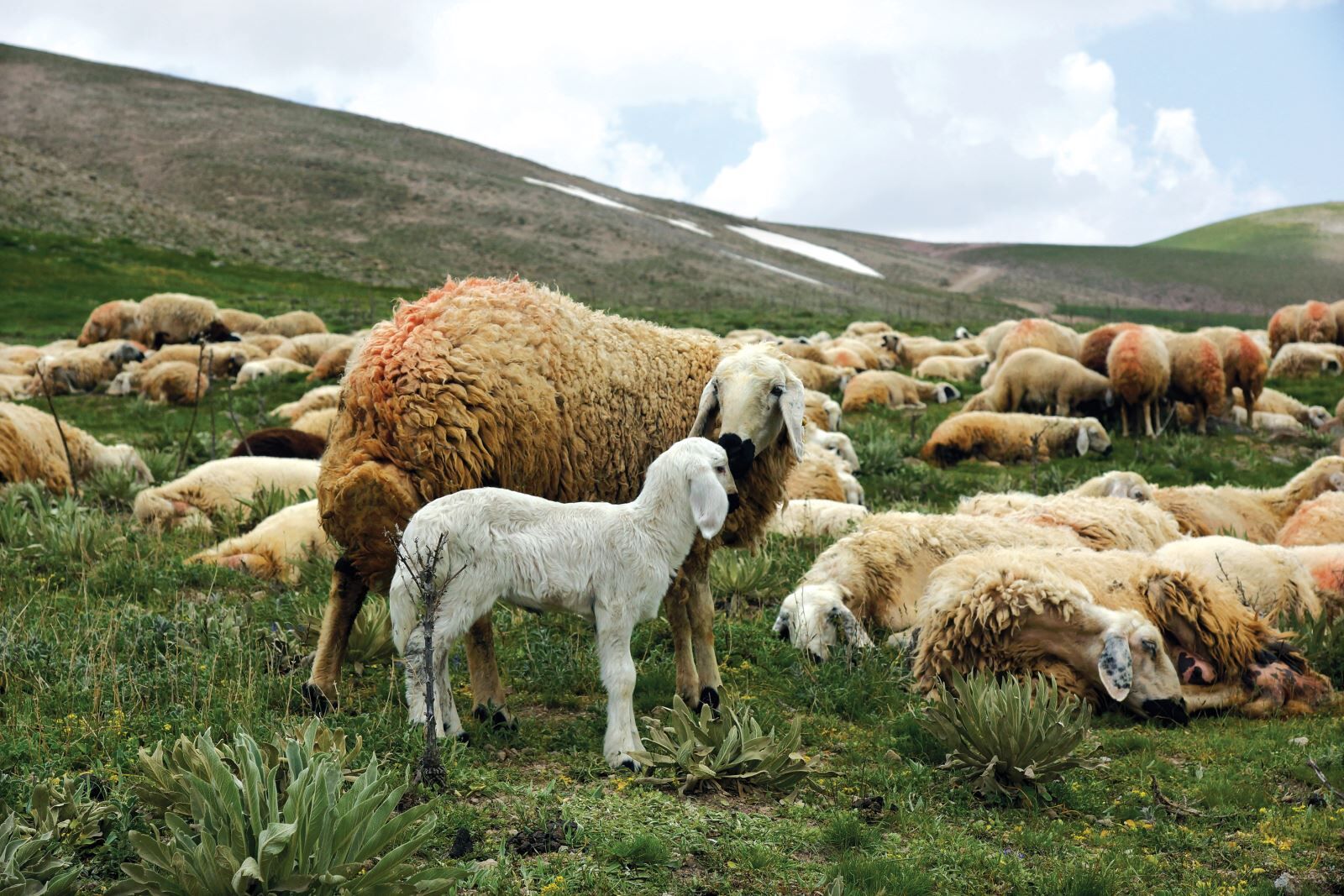 20160314112417039 5 (2)-3