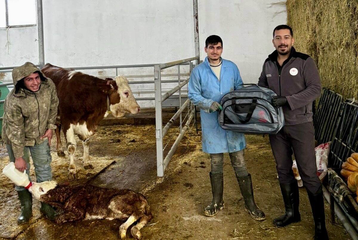 202604211028 Ccac3724 A60A 4534 Bc15 25D267958256